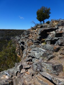 Pinnacle Lookout, Coolah Tops NP